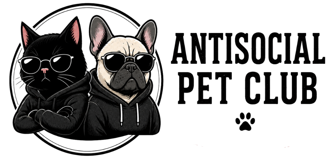 Antisocial Pet Club