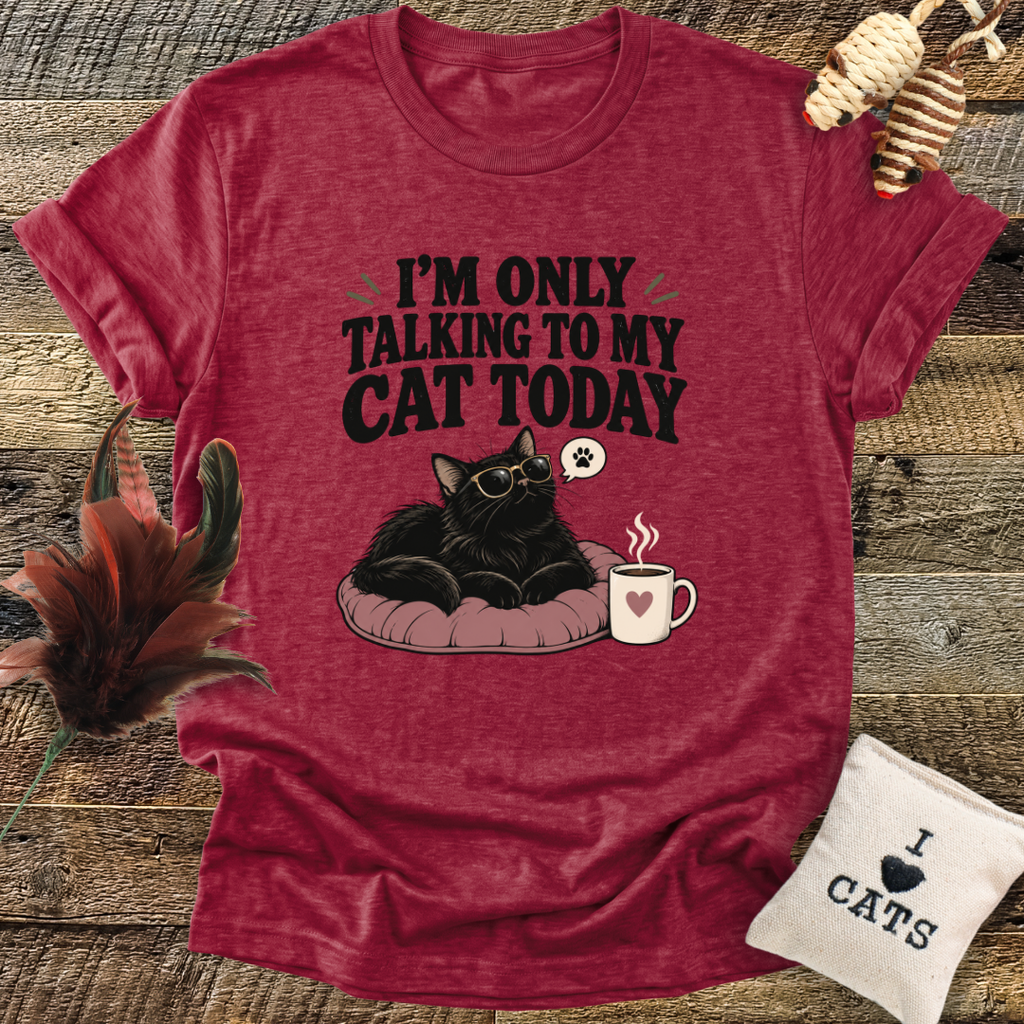 I'm Only Talking To My Cat Today T-Shirt