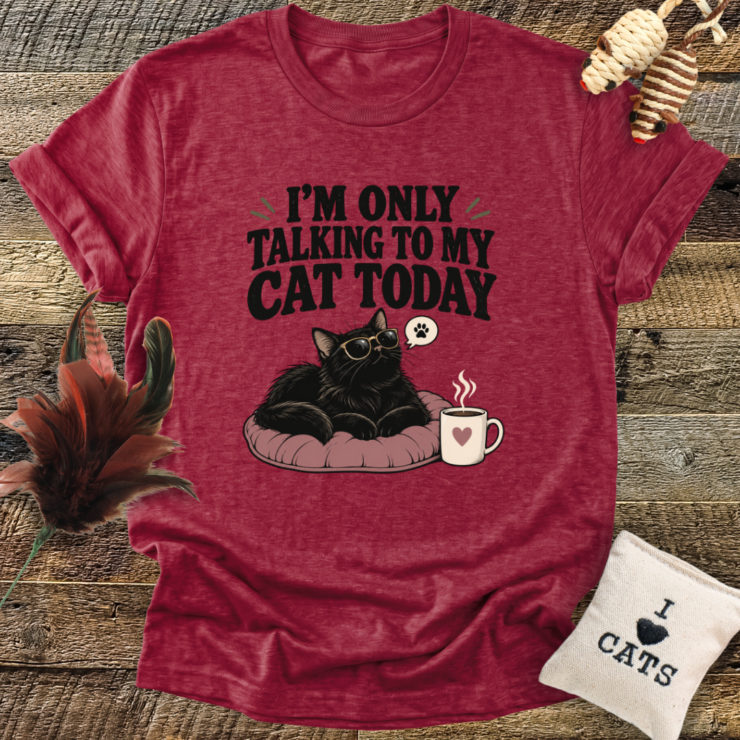 I'm Only Talking To My Cat Today T-Shirt