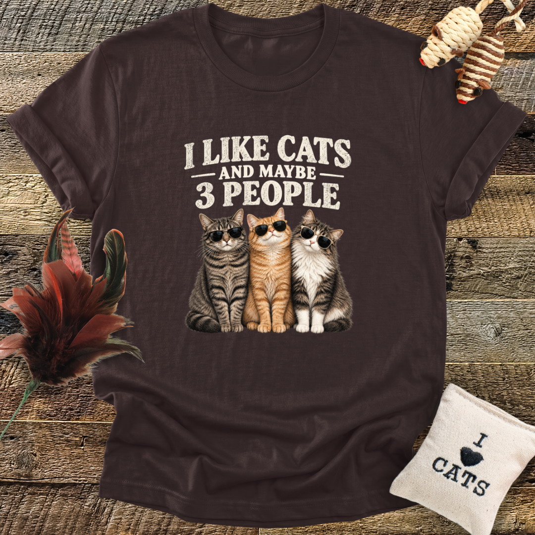 I Like Cats, And Maybe 3 People T-Shirt