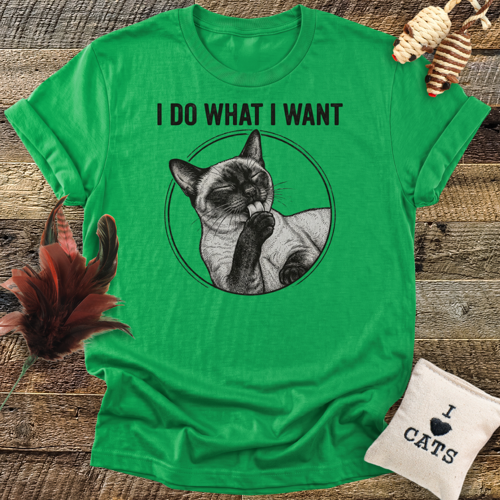 I Do What I Want T-Shirt