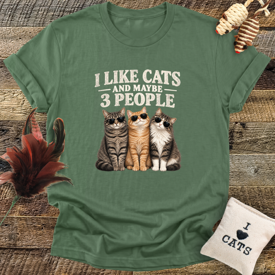 I Like Cats, And Maybe 3 People T-Shirt