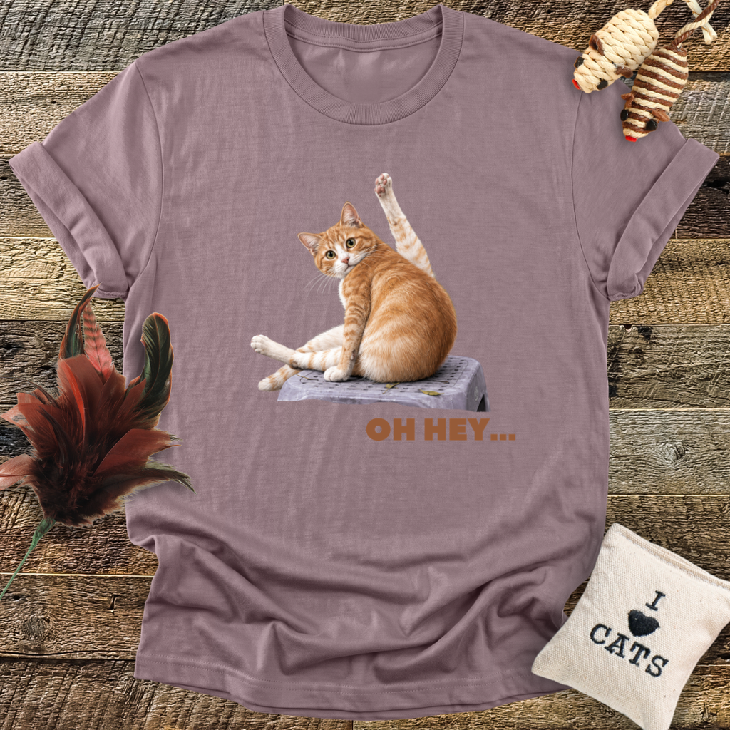 Oh Hey... T-Shirt