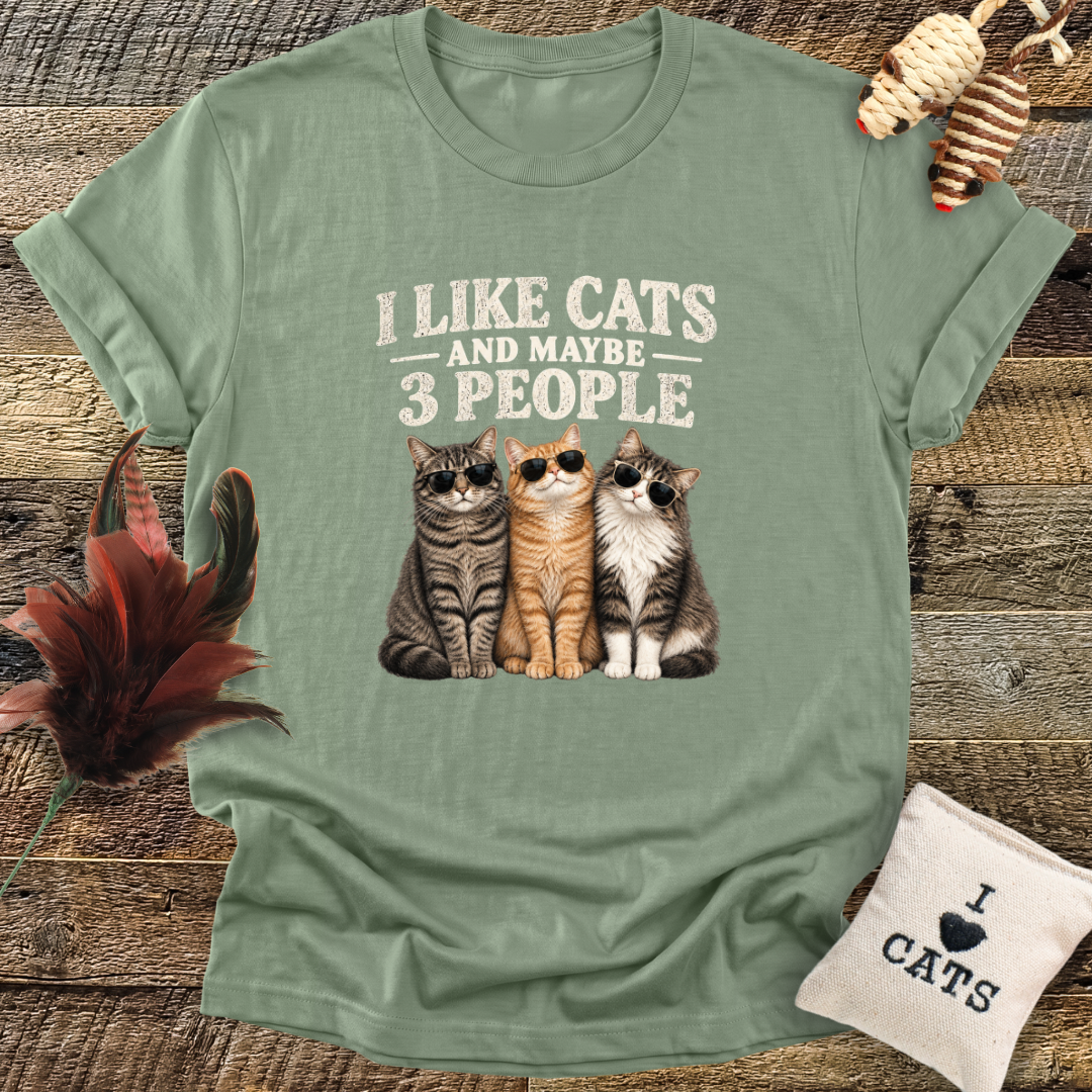 I Like Cats, And Maybe 3 People T-Shirt