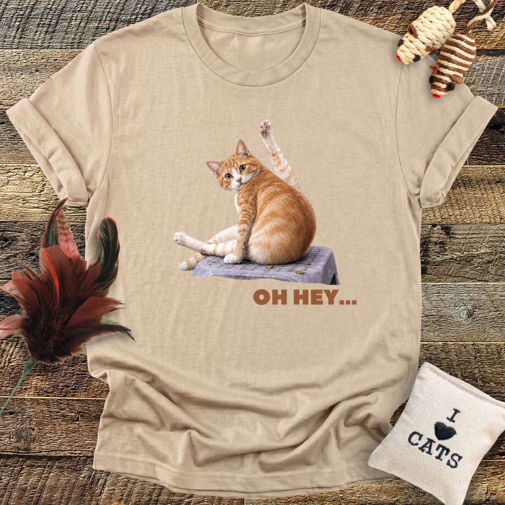 Oh Hey... T-Shirt