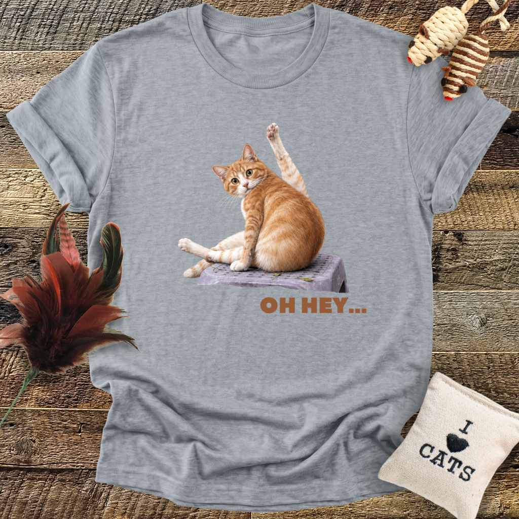 Oh Hey... T-Shirt