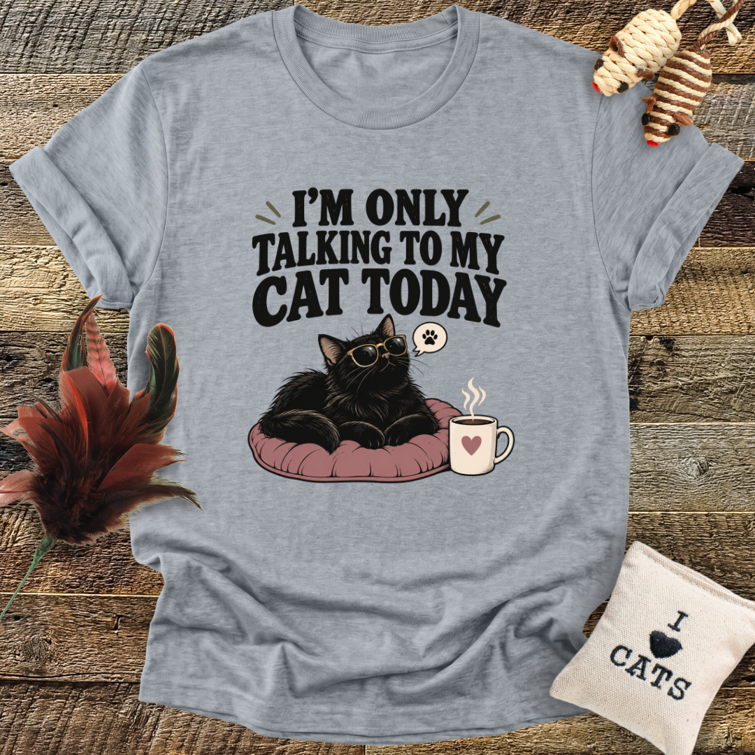 I'm Only Talking To My Cat Today T-Shirt