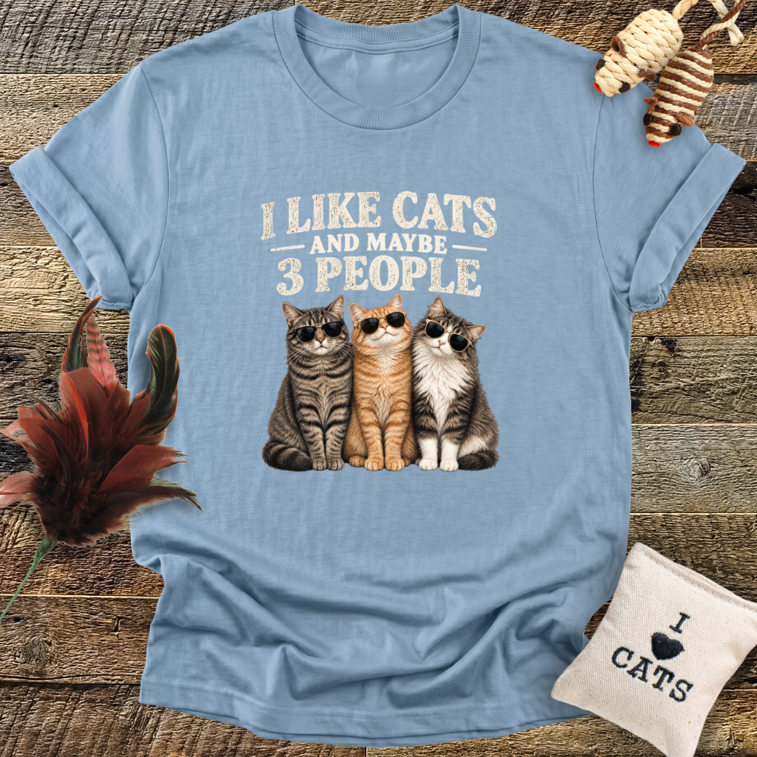 I Like Cats, And Maybe 3 People T-Shirt
