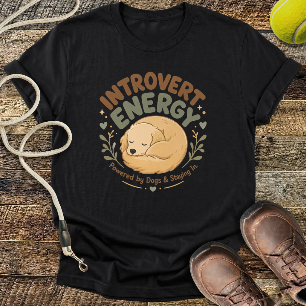 Introvert Energy T-Shirt