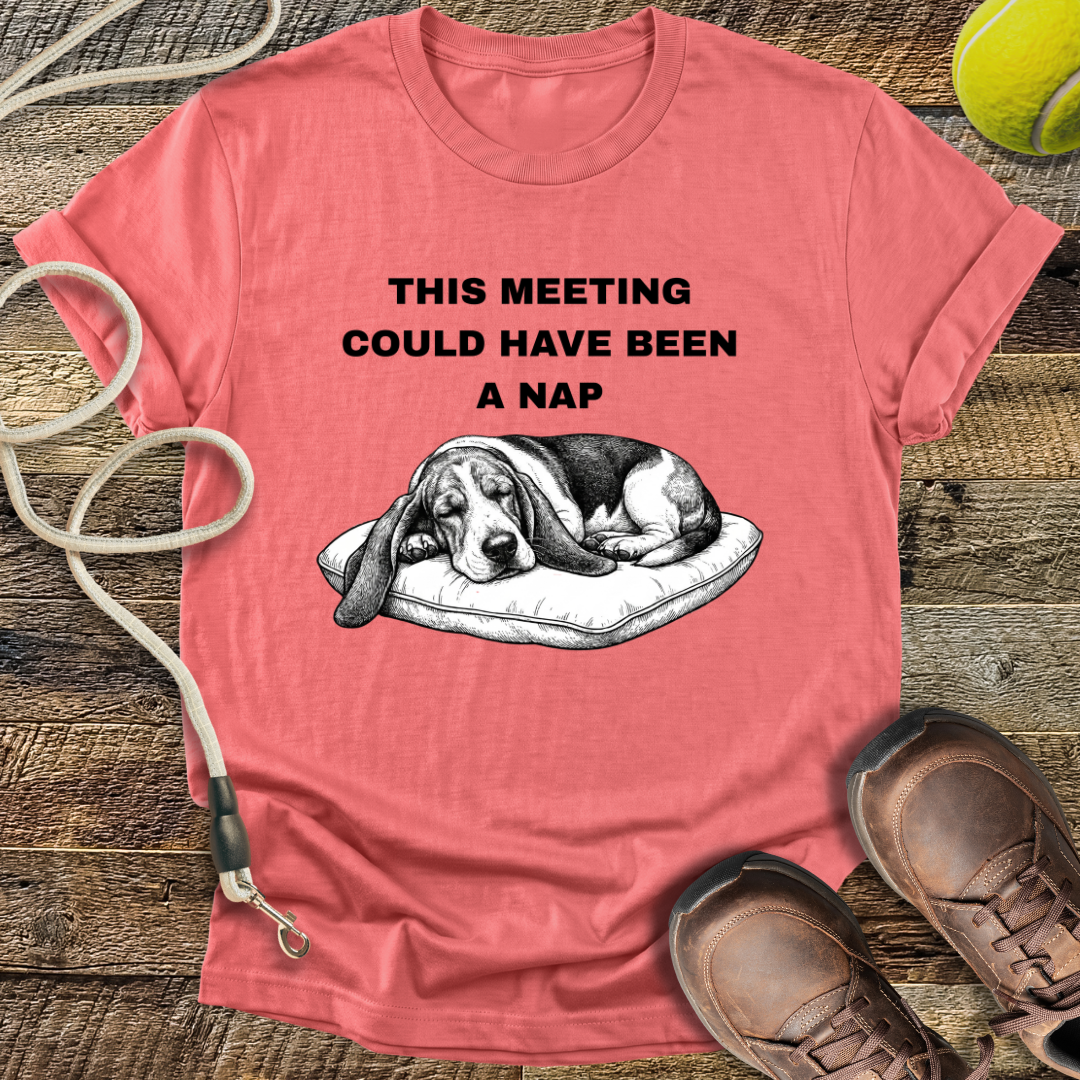 This Meeting Could Have Been A Nap T-Shirt