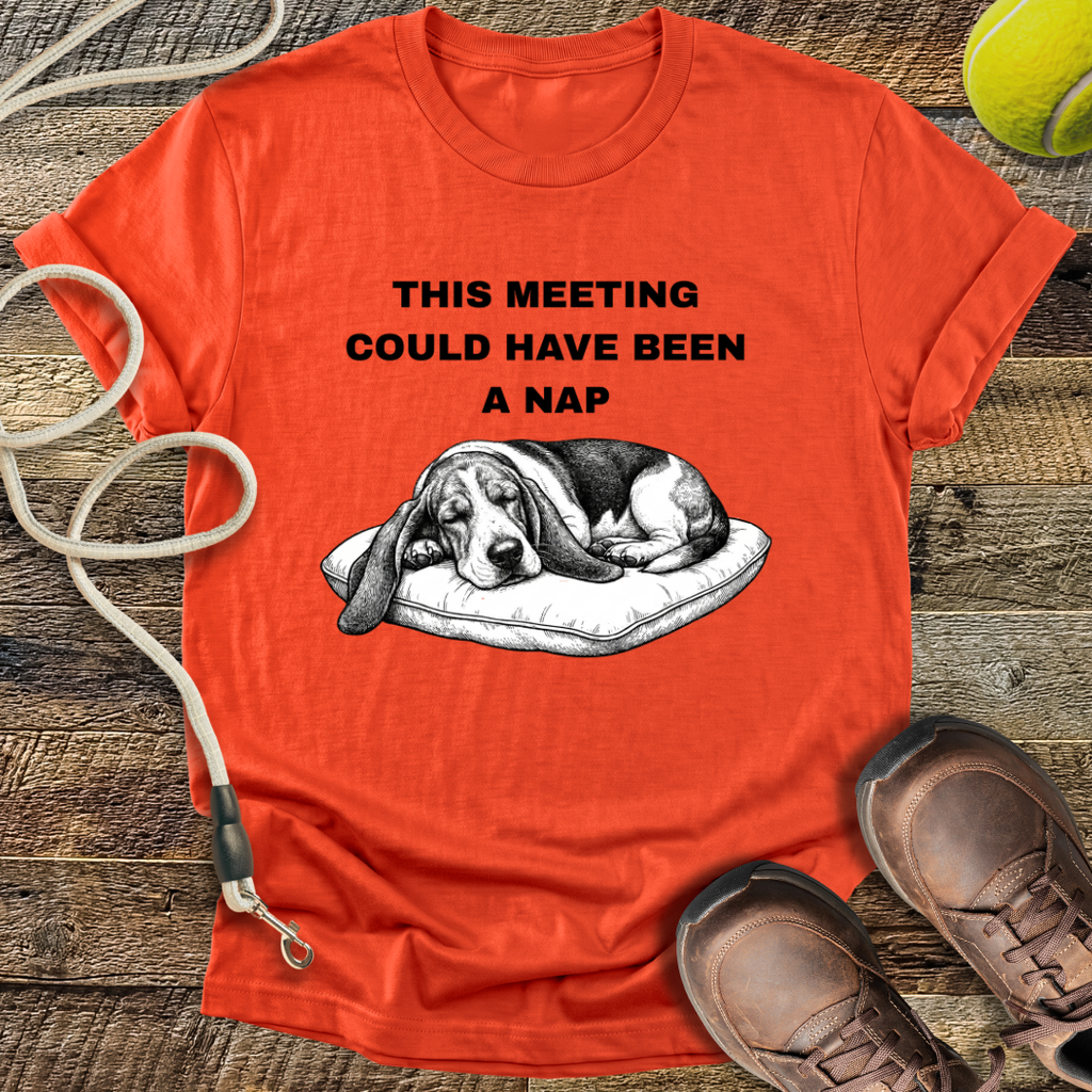 This Meeting Could Have Been A Nap T-Shirt