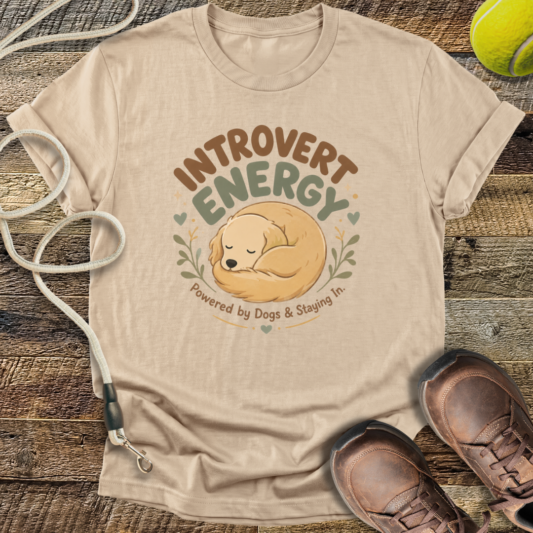 Introvert Energy T-Shirt